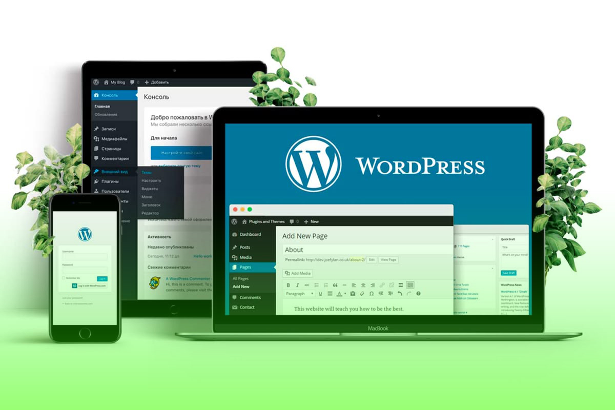 Wordpress Customization